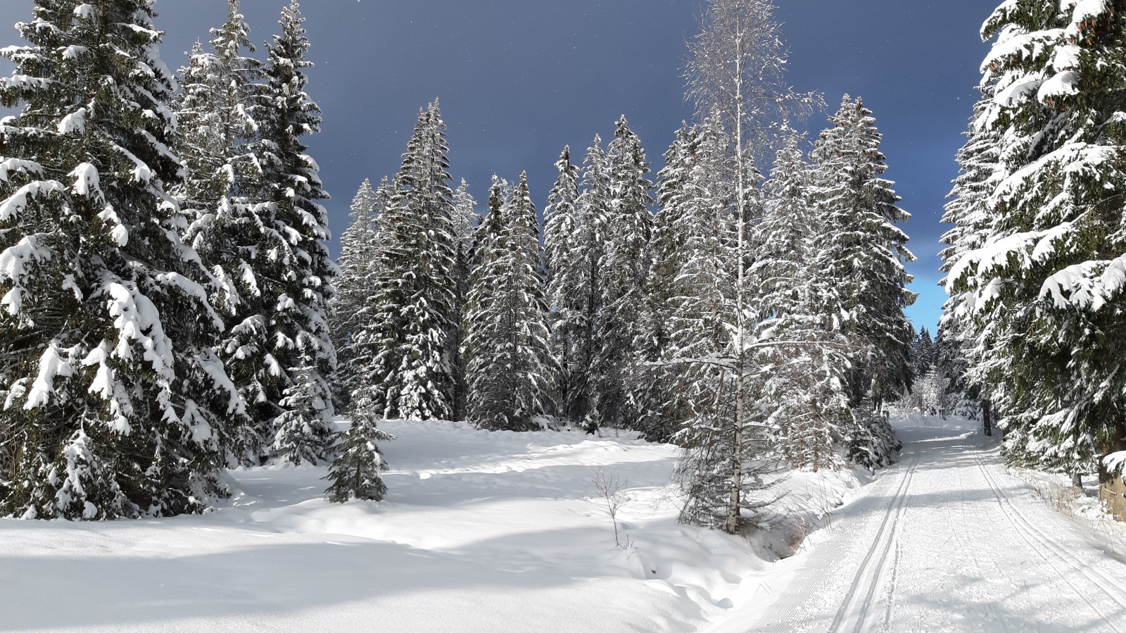 Winter in Johanngeorgenstadt 