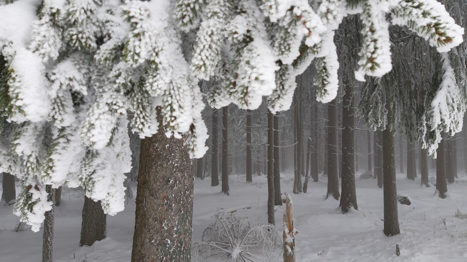 Winter 2023