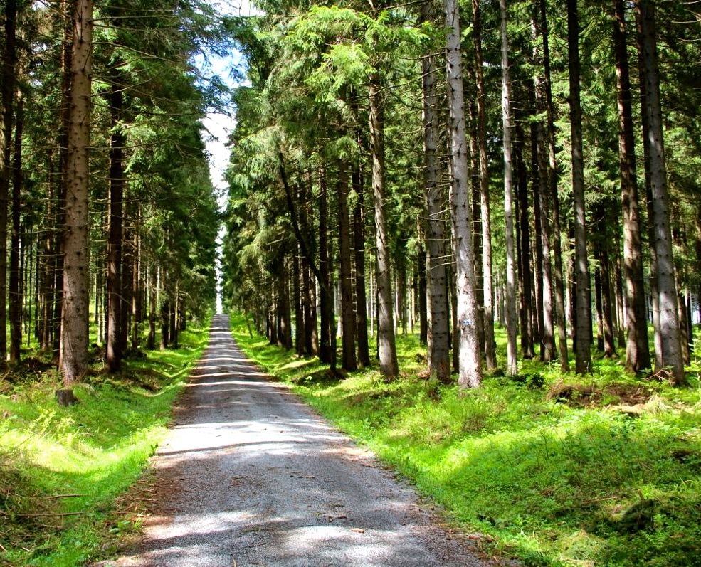 Wanderung zum Auersberg Erzgebirge