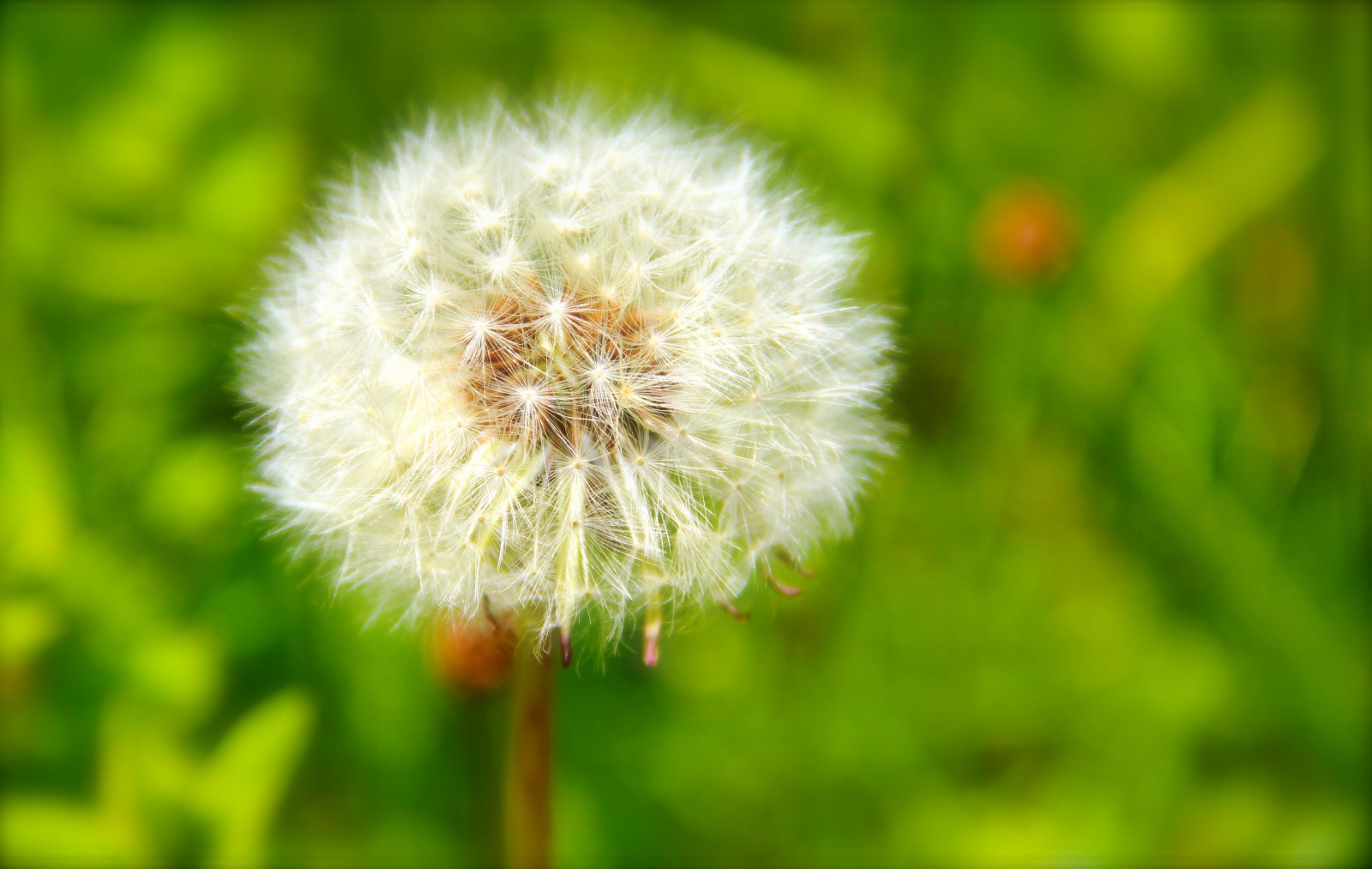 Sommer im Erzgebirge