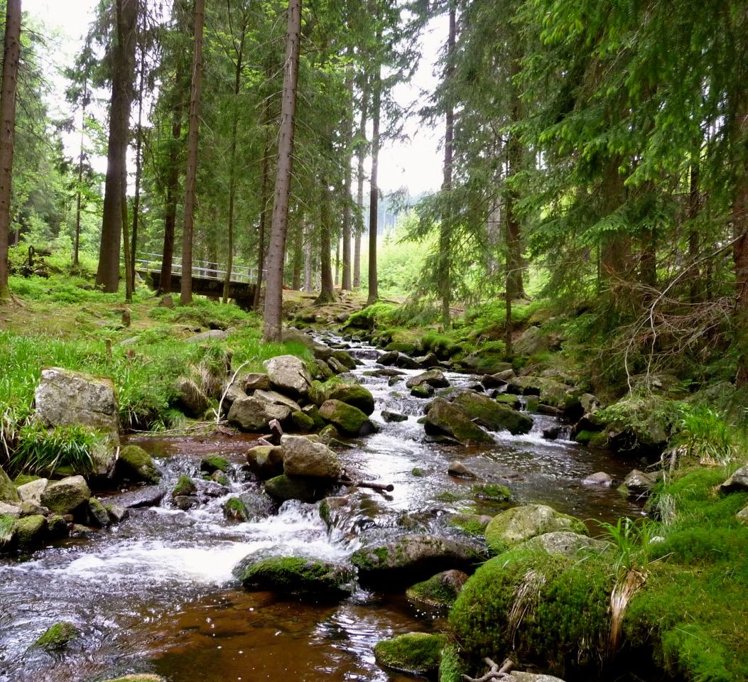 Steinbachtal