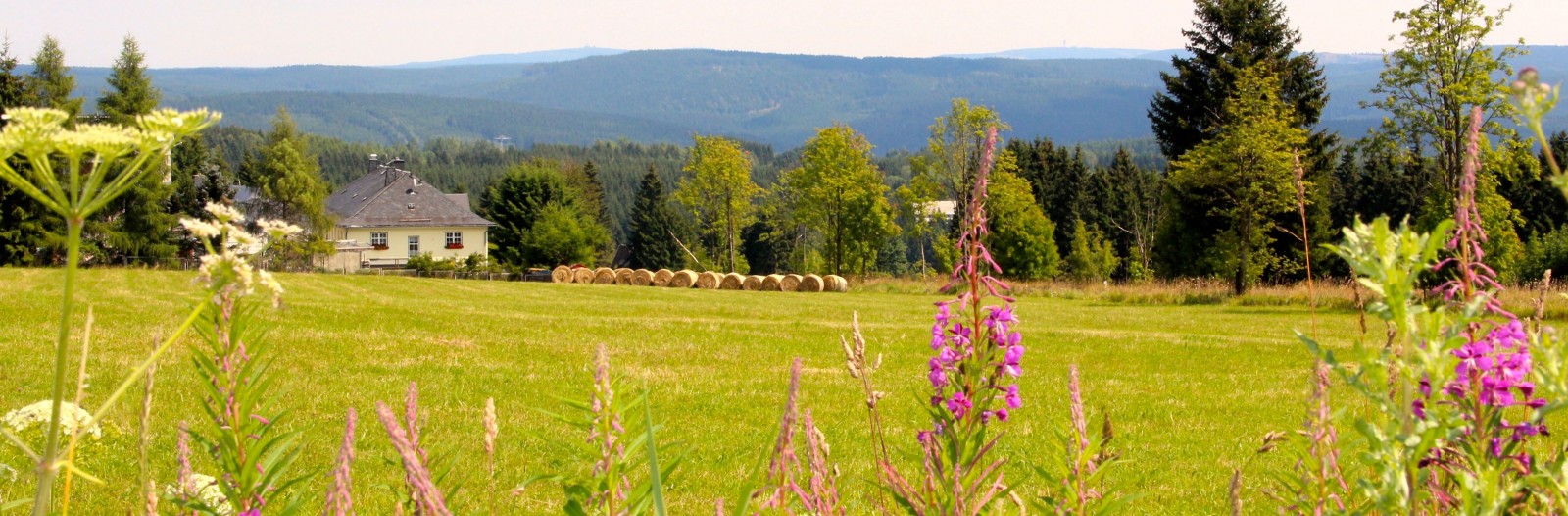 Landhaus Sonnentau Erzgebirge