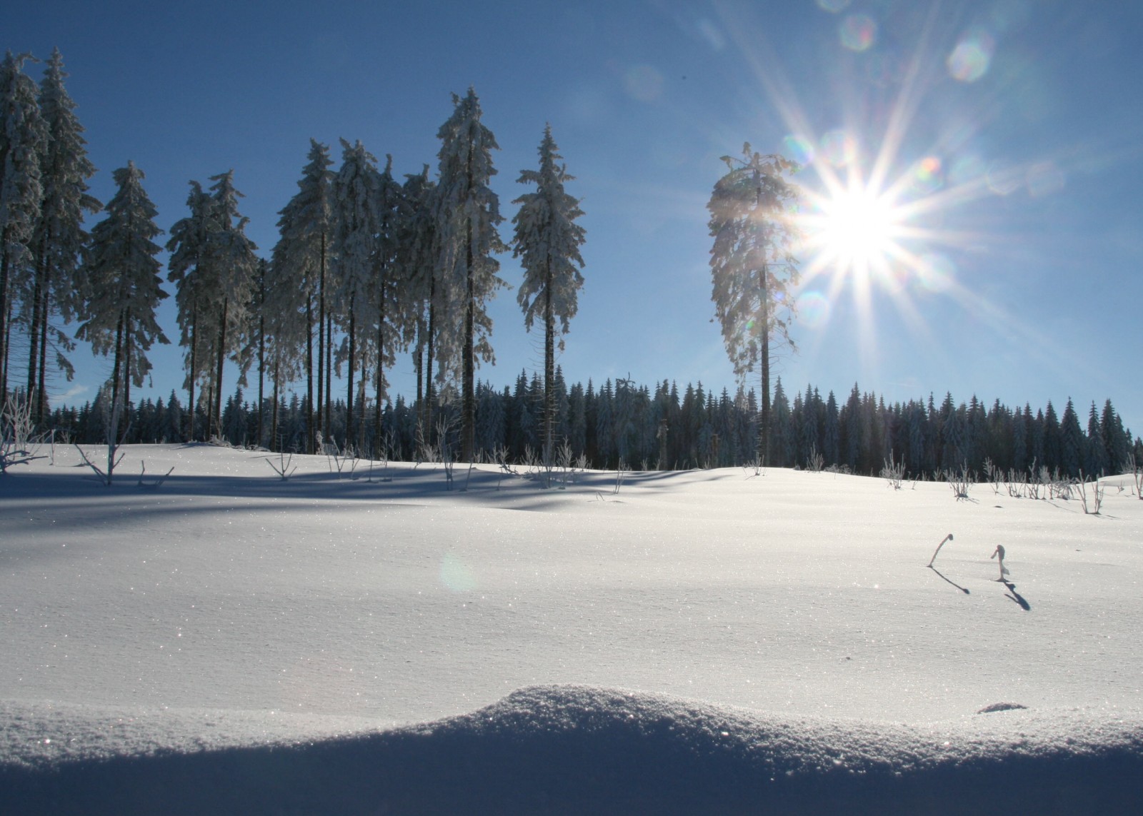 Winterurlaub im Erzgebirge
