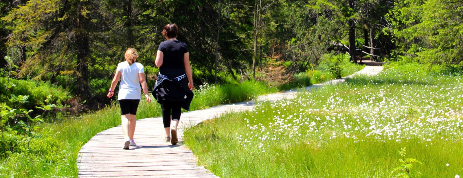 Urlaub im Erzgebirge