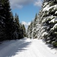 Winter im Erzgebirge