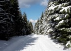 Winter im Erzgebirge