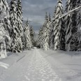 Winter im Erzgebirge Johanngeorgenstadt