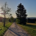 Erzgebirge Frühling