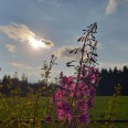 Abendstimmung im Erzgebirge