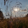 Abendlicht im Erzgebirge