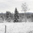 Winterlandschaft 