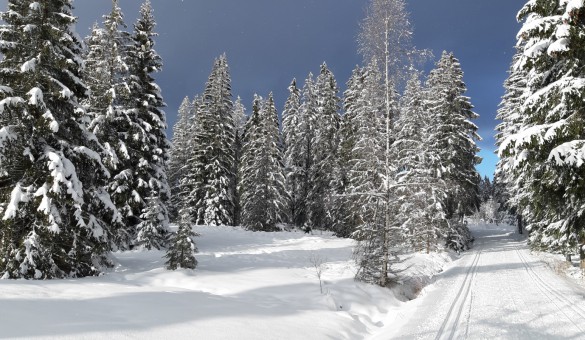 Winter im Erzgebirge