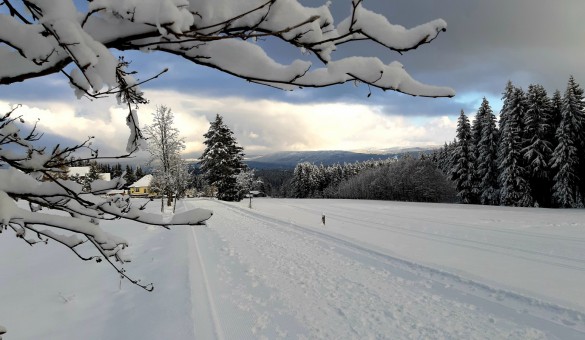 Landhaus Sonnentau Winter