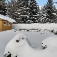 Bienen im Winter Erzgebirge