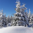 Erzgebirge im Winter