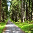 Wanderung zum Auersberg Erzgebirge