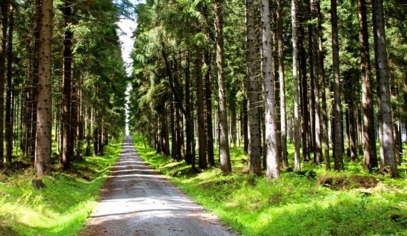 Wanderung zum Auersberg Erzgebirge