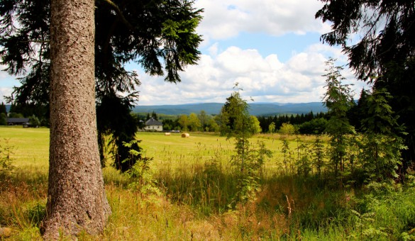 Pension im Erzgebirge