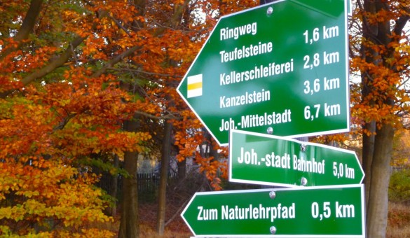 Herbst im Erzgebirge