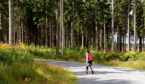 Wandern auf dem Kammweg Erzgebirge