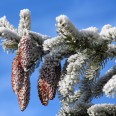 Winter Erzgebirge