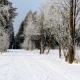 Winterwetter Johanngeorgenstadt 
