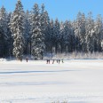 Pension im Erzgebirge_Loipe