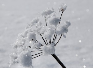 Johanngeorgenstadt im Winter