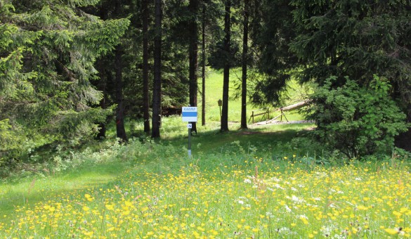 Kammweg am Landhaus Sonnentau