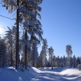 Johanngeorgenstadt im Winter