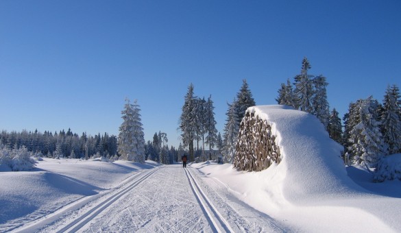 Loipen Langlauf im Erzgebirge Johanngeorgenstadt