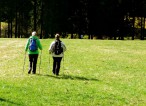 Wandern auf dem Kammweg Erzgebirge Vogtland