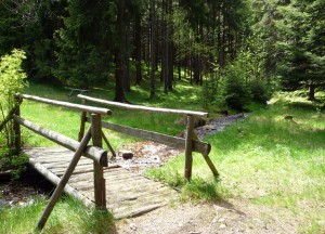 Umgebung