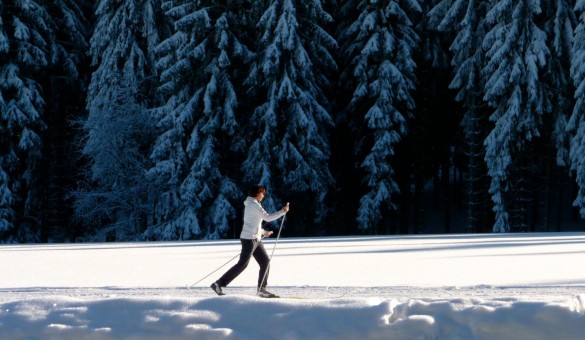 Langlauf im Erzgebirge