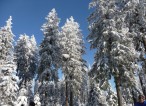 Winterurlaub Erzgebirge