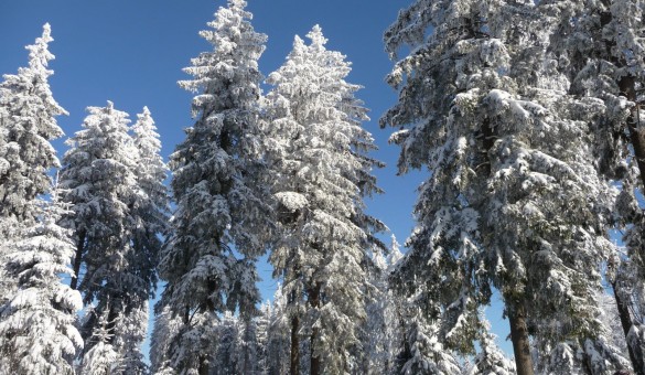 Winterurlaub Erzgebirge