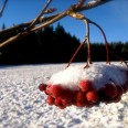 Winter im Erzgebirge