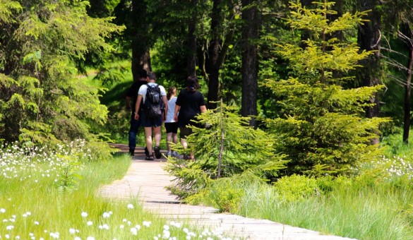 Wandern im Erzgebirge