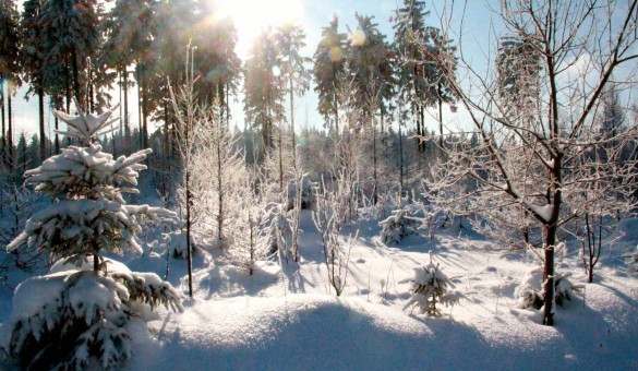 Winter in Johanngeorgenstadt