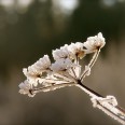 Winter Erzgebirge