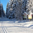 Erzgebirge Winterurlaub