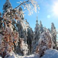 winter im Erzgebirge