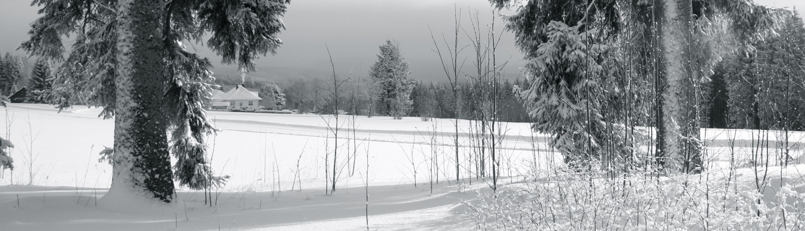 Winter im Erzgebirge